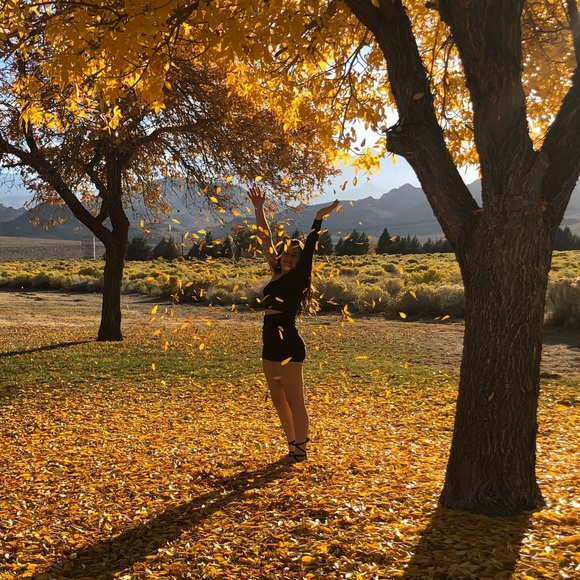 Tiger Mist Hoco Dress - Picture 4 of 5